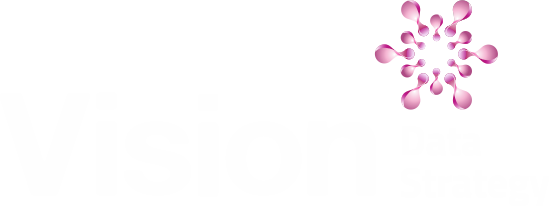 Vision Data Strategy banner logo
