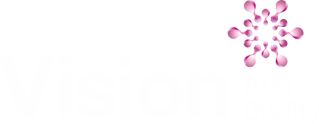 Vision Data Quality Logo for slider