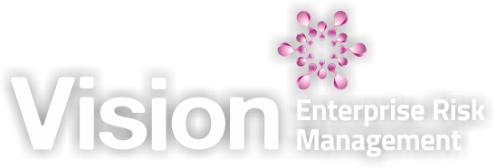 Vision ERM logo for slider