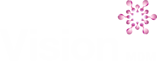Vision MDM logo for slider